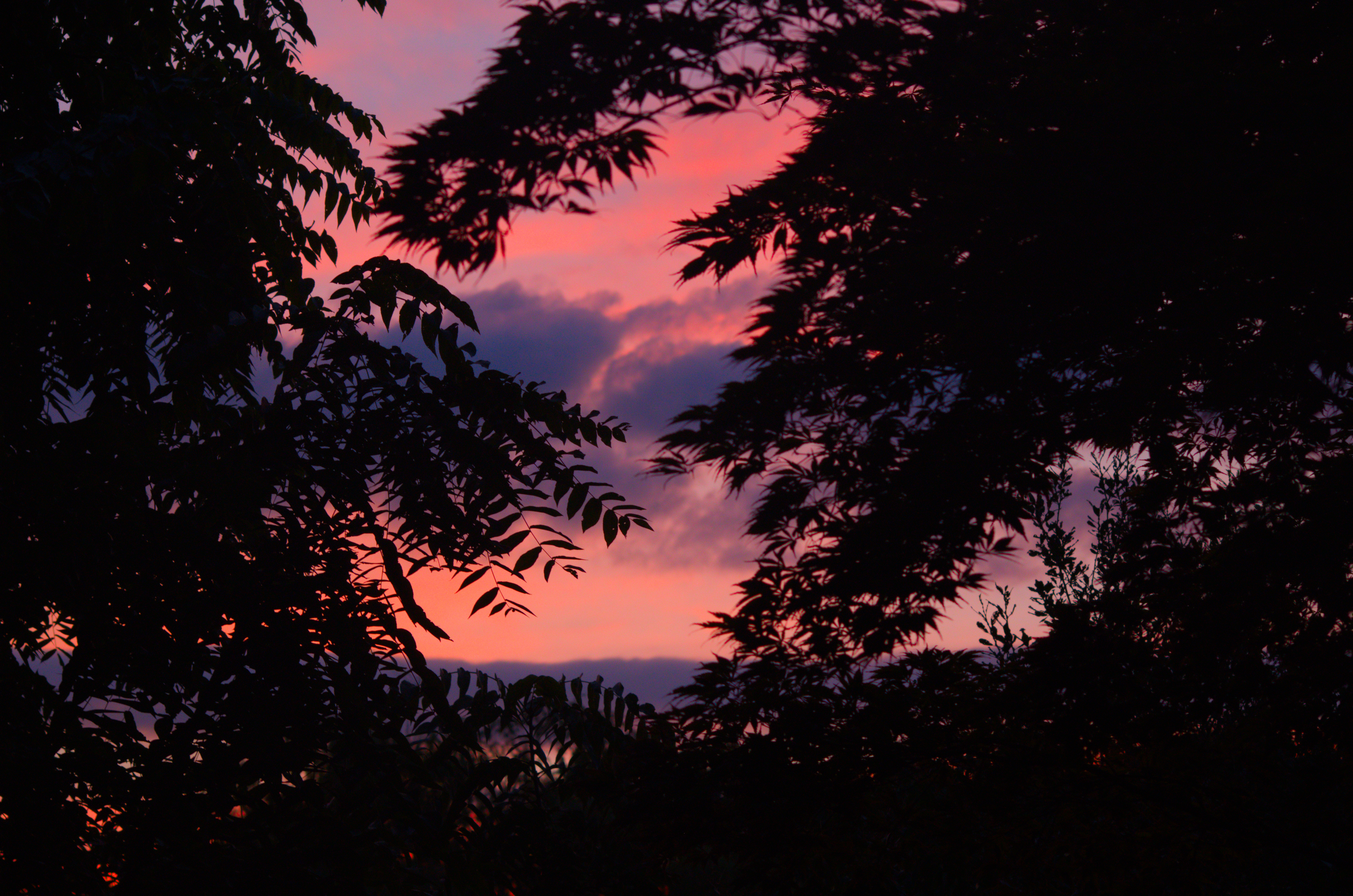 My camera finally worked
